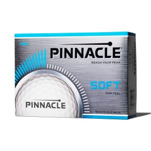 Pinnacle Soft